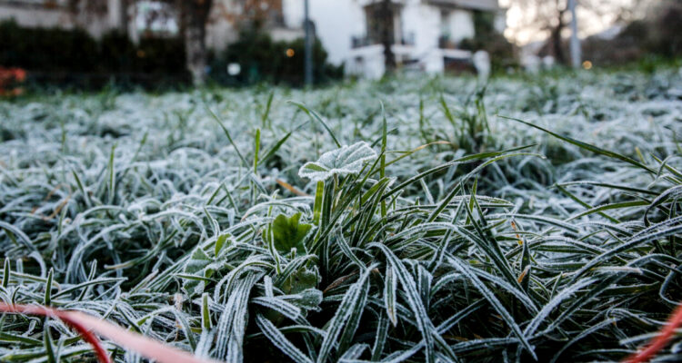 Heladas severas amenazan a siete regiones del país: temperaturas podrían descender hasta los -4°C
