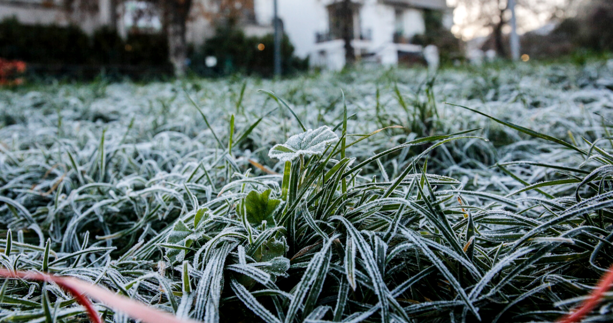 Heladas severas amenazan a siete regiones del país: temperaturas podrían descender hasta los -4°C