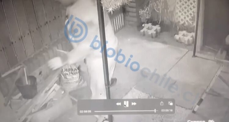 Hombre mata a delincuente que ingresó a su casa a robar en Villa Alemana