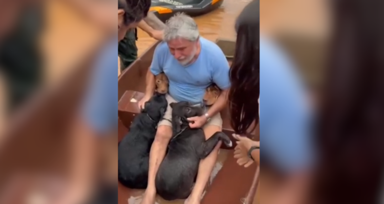 Un video da cuenta del emotivo momento que vivió un hombre en Brasil, tras encontrar con vida a sus cuatro perros perdidos por las inundaciones que afectan al país.