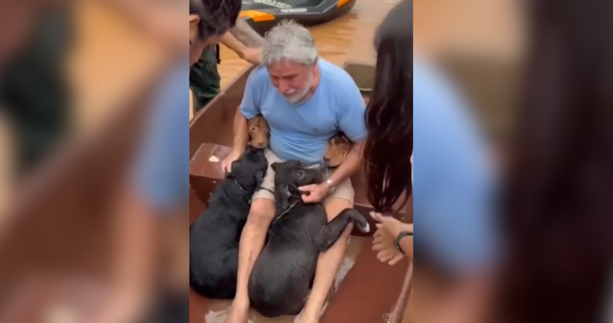 Un video da cuenta del emotivo momento que vivió un hombre en Brasil, tras encontrar con vida a sus cuatro perros perdidos por las inundaciones que afectan al país.