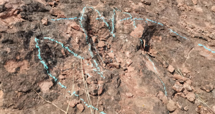 Sin precedentes: encuentran más de 400 huellas de dinosaurios de hace 120 millones de años en China