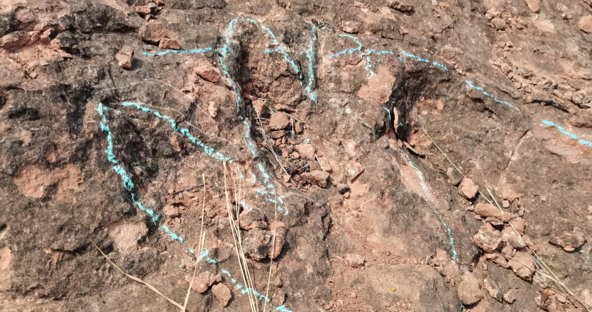 Sin precedentes: encuentran más de 400 huellas de dinosaurios de hace 120 millones de años en China