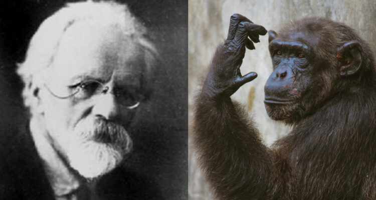 Iliá Ivanovich Ivanov, el científico ruso que intentó crear un ejército de “hombres-mono” para Stalin