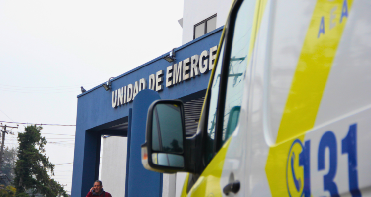 muerte por influenza