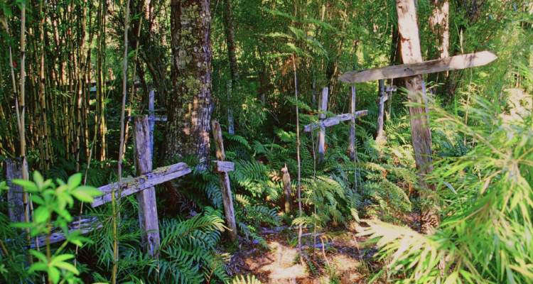 La Isla de los Muertos