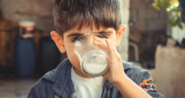 Uno de cada 3 chilenos no consumen leche por la desinformación: expertos señalan que “es preocupante”