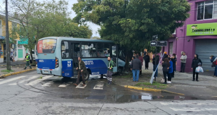 Microbús choca con árbol en Concepción.