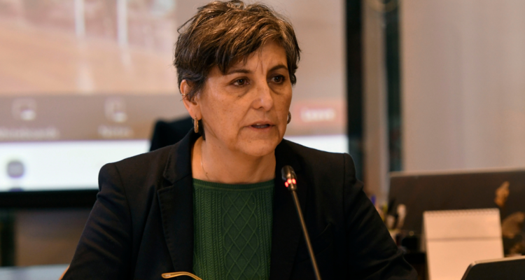 ministra de salud isapres