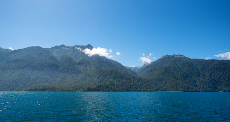 Modelo de inversión verde ha protegido más de 20.000 hectáreas de ecosistemas en el sur del país