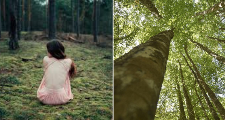 Niña criada en estado salvaje en bosques de Suiza