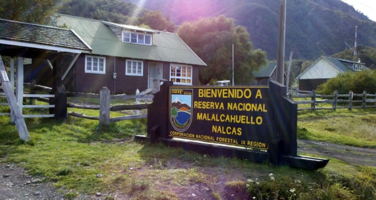 Conaf revela que presentó 2 denuncias por ingreso de vehículos no autorizados a Reserva Malalcahuello