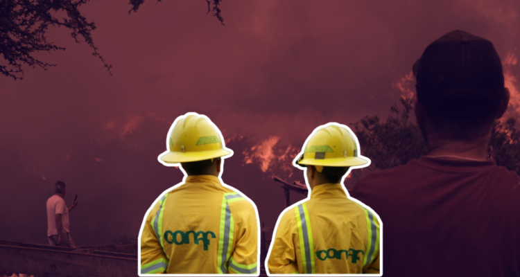 Directivo de Conaf Valparaíso recibió $9 millones en horas extras entre enero y abril de este año