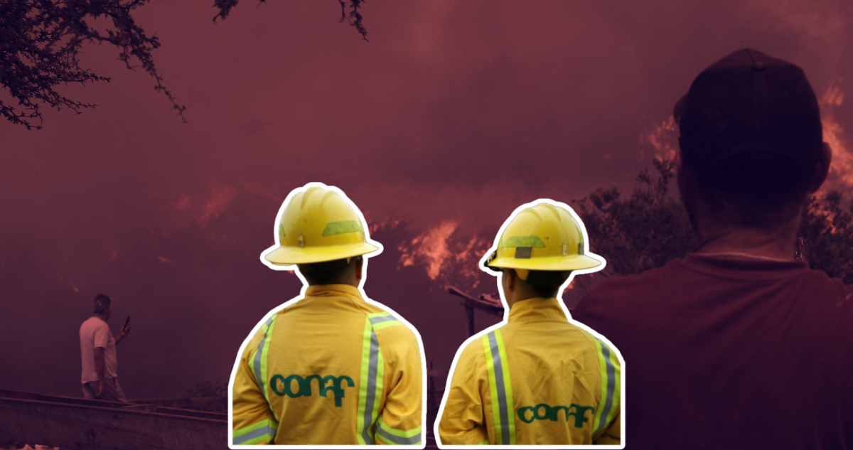 Directivo de Conaf Valparaíso recibió $9 millones en horas extras entre enero y abril de este año