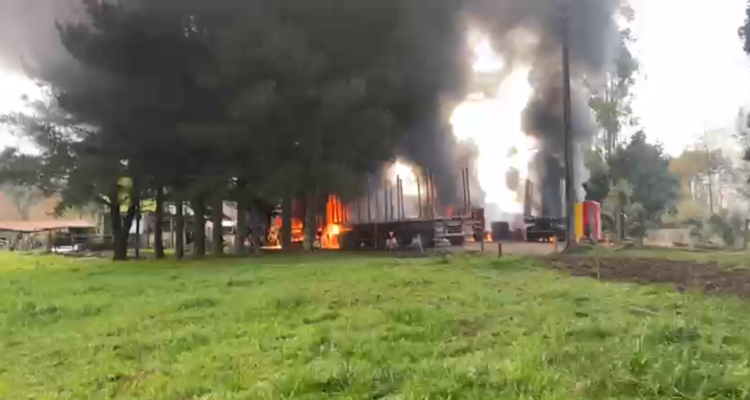 Río Negro: Resistencia Kunko Williche se adjudica atentado incendiario en predio forestal