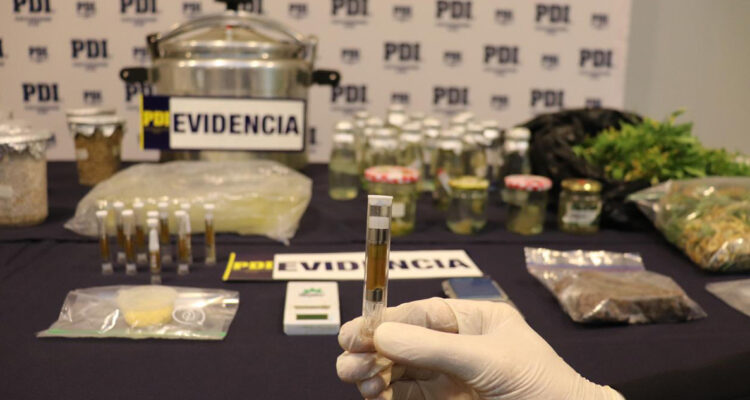 Por primera vez en Magallanes incautan droga DMT más conocida como “la molécula de Dios”