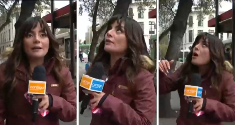 Daniela Muñoz, periodista de CHV, en despacho para Contigo en la mañana