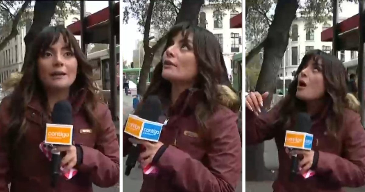 Daniela Muñoz, periodista de CHV, en despacho para Contigo en la mañana