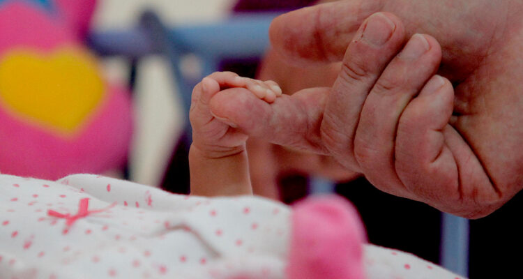 Diputadas proponen extender postnatal de 24 semanas a un año