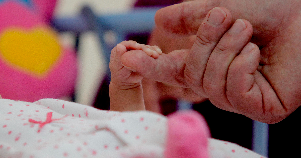 Diputadas proponen extender postnatal de 24 semanas a un año