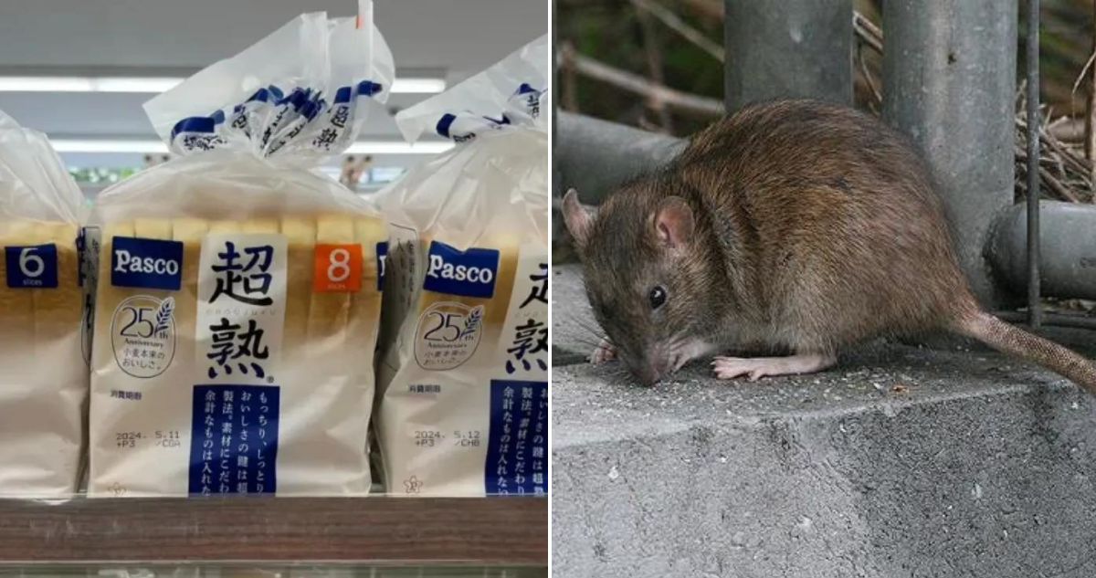 Partes de rata en pan de Japón