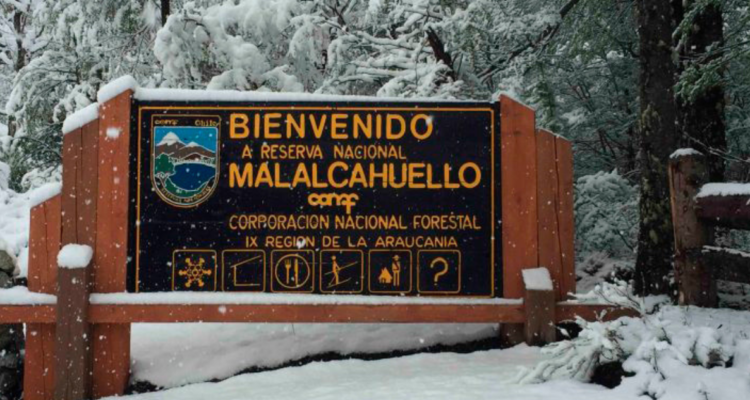 Imagen de Reserva Nacional Malalcahuello