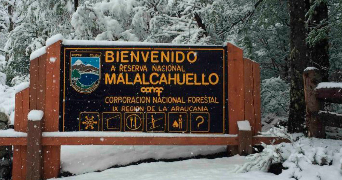 Imagen de Reserva Nacional Malalcahuello