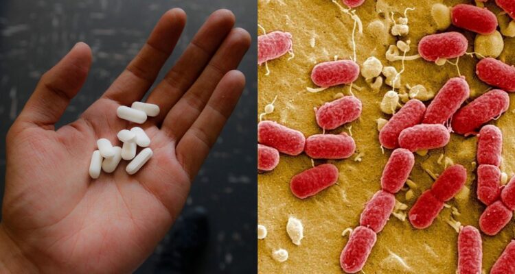 Resistencia a los antibióticos, la “pandemia silenciosa”: conoce por qué se produce y cómo frenarla