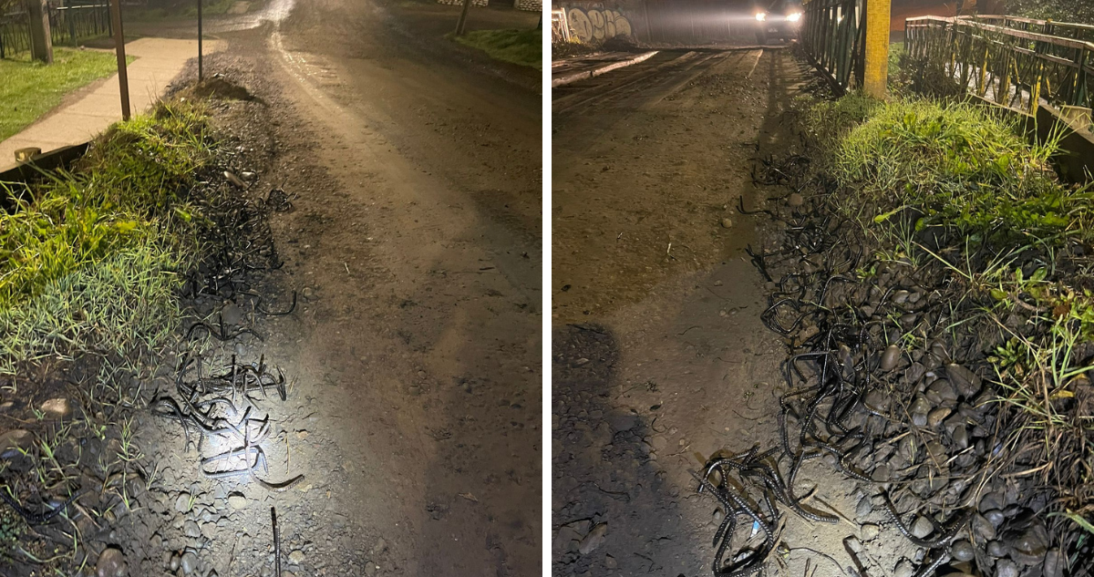 Miguelitos en ruta tras intento de robo de cajero en Temuco