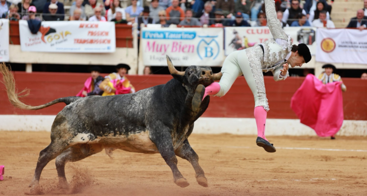 Torero Román Collado