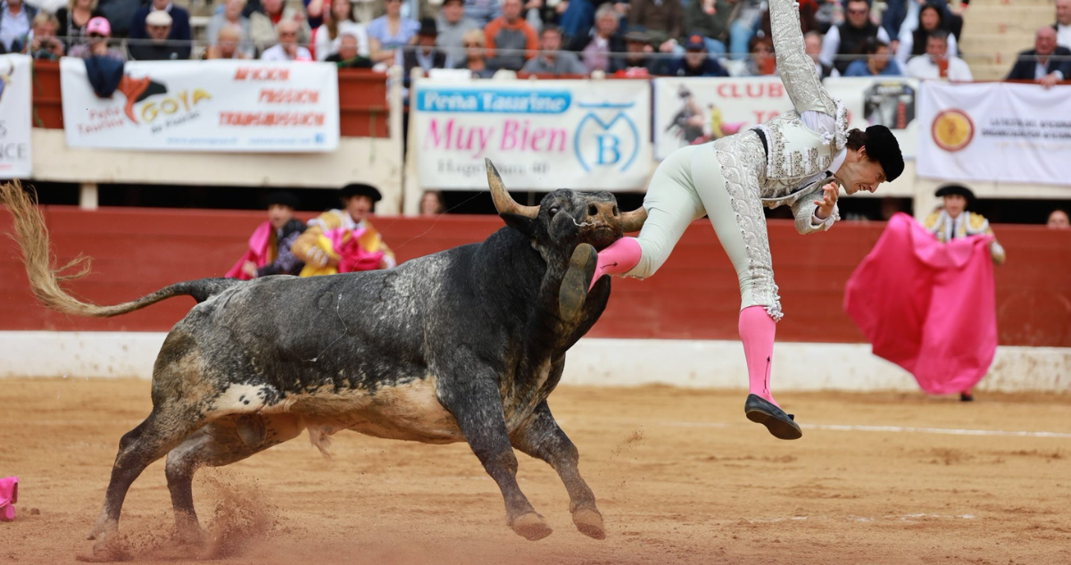 Torero Román Collado