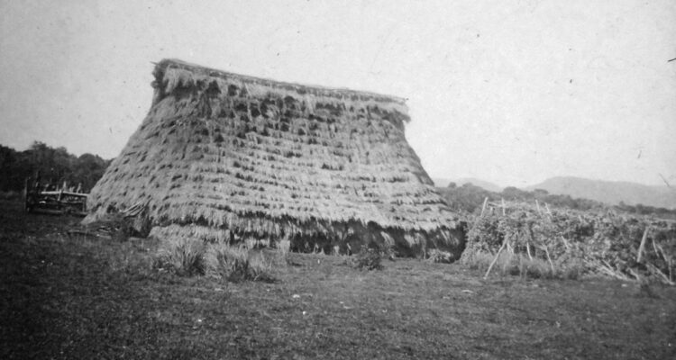 Archivo iconográfico de la Araucanía, Biblioteca Digital, U. La Frontera