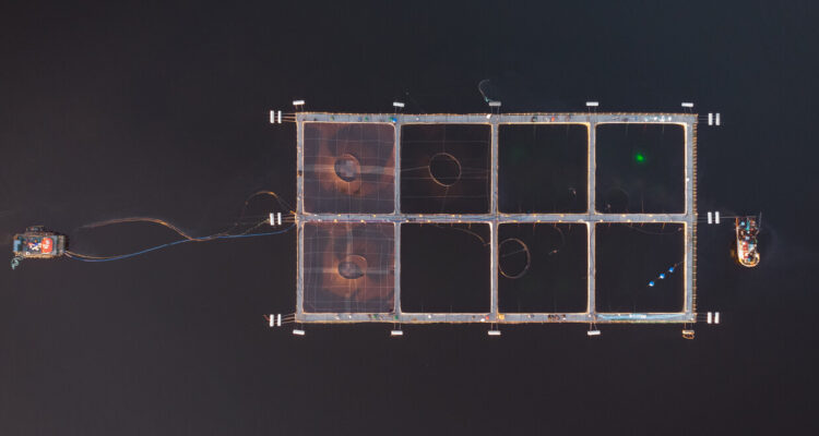 Industria salmonera en Chile