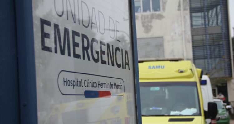 Segunda muerte por influenza en Ñuble