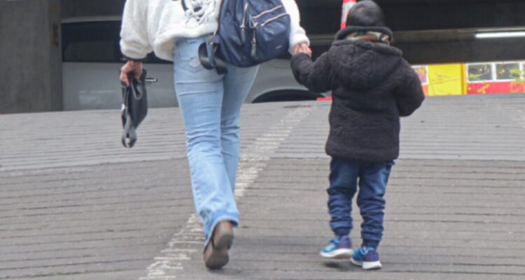 ley de pensiones de alimentos y colapso de tribunales