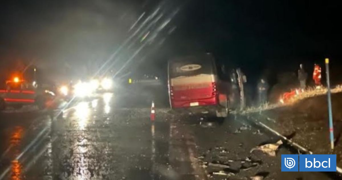 Un Muerto Y Siete Heridos Deja Violenta Colisión Entre Bus Y Auto En Ruta De Tierra Del Fuego 5738