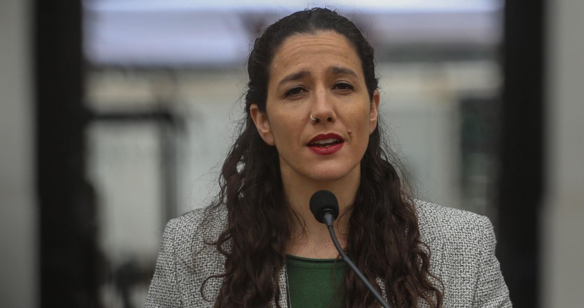 Influenza: subsecretaria de Salud dice que aumento de casos “es habitual” por circulación de virus