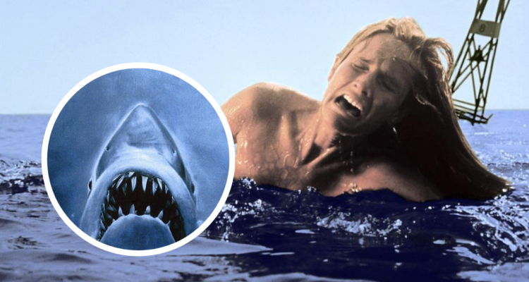 Susan Backlinie, actriz que protagonizó icónica escena de la película ‘Tiburón’, murió a los 77 años