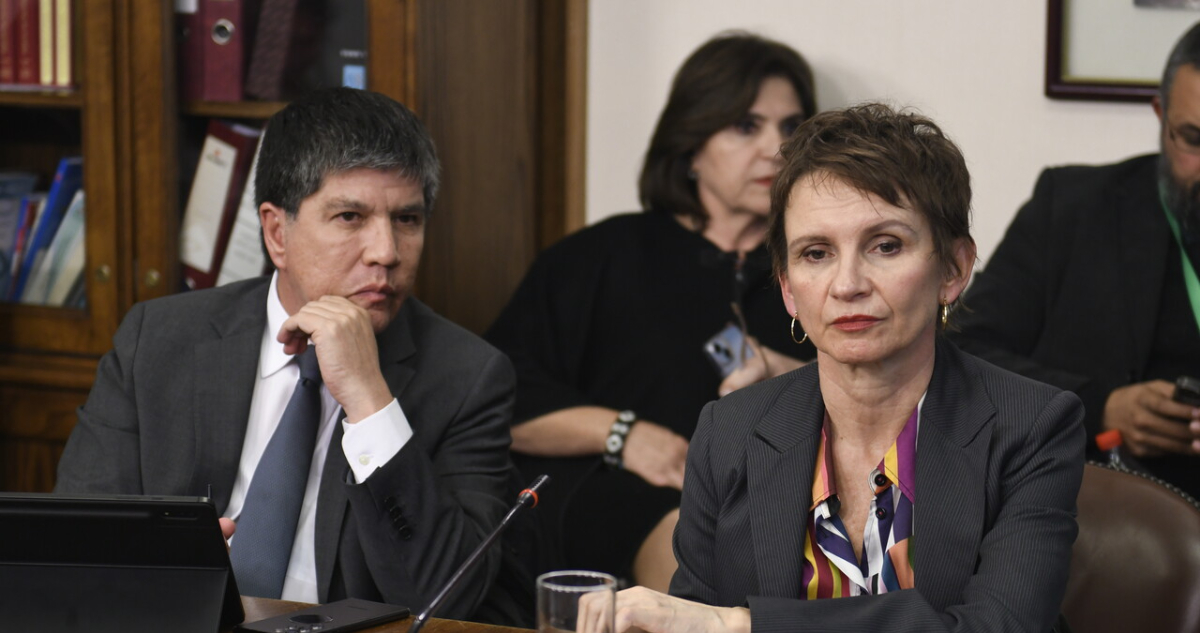 Ministra Tohá asegura que la CAM “no tiene que ver con el terrorismo”
