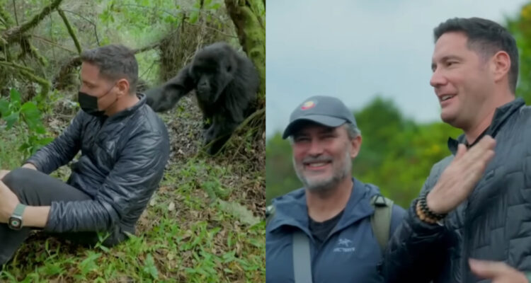 Así fue como Toni Espadas conoció a “Socios por el Mundo”: los llevó a visitar gorilas en Uganda
