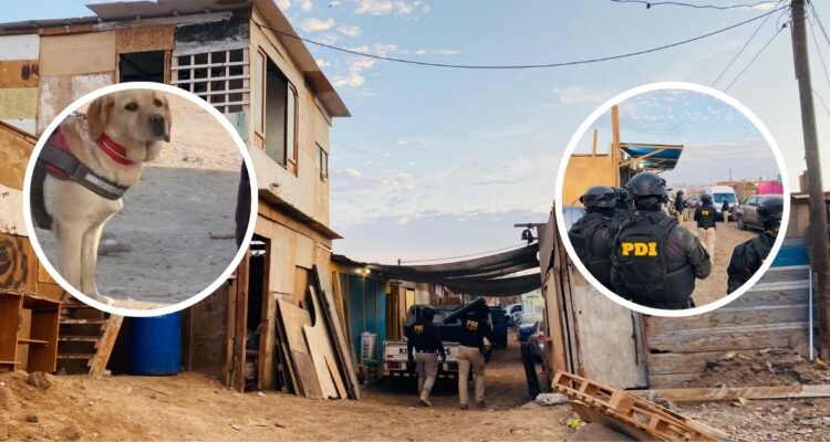 Tren del Norte IV: Los detalles del operativo con perros detectores de cadáveres que dejó 5 detenidos