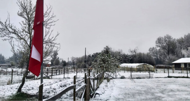 Más de 20 familias del sector rural de Pucón se encuentran aisladas por acumulación de nieve