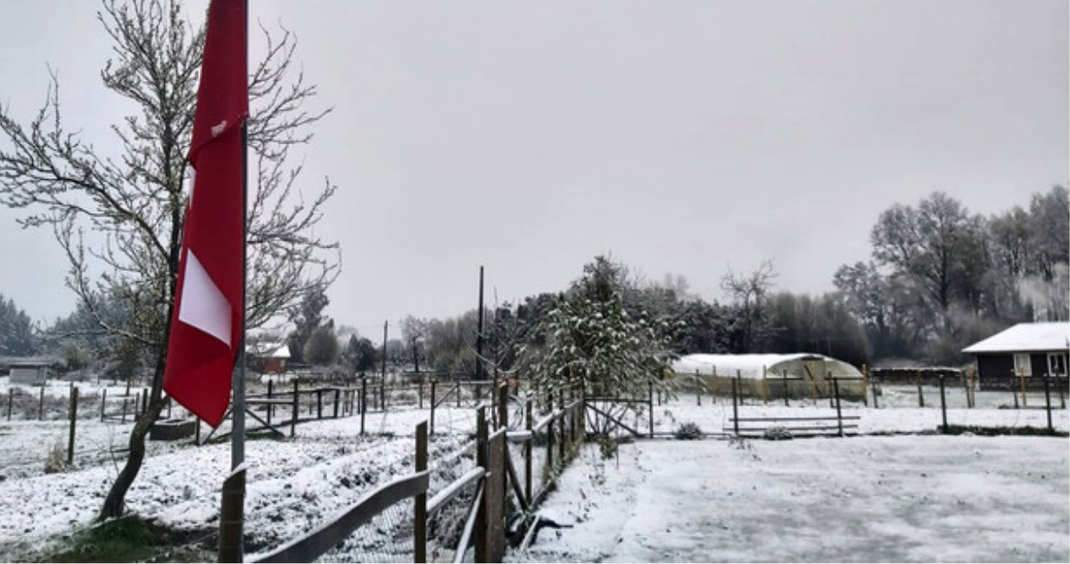 Más de 20 familias del sector rural de Pucón se encuentran aisladas por acumulación de nieve
