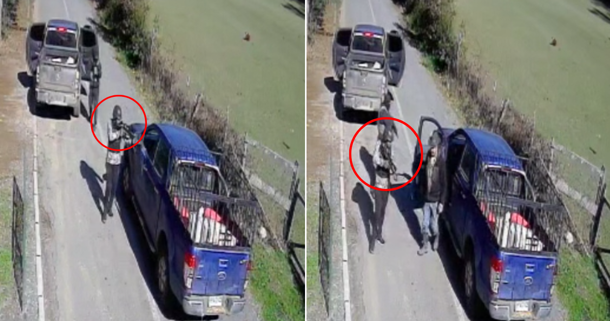 Prisión preventiva a 4 paramilitares dedicados al robo de vehículos en ruta Los Sauces – Contulmo