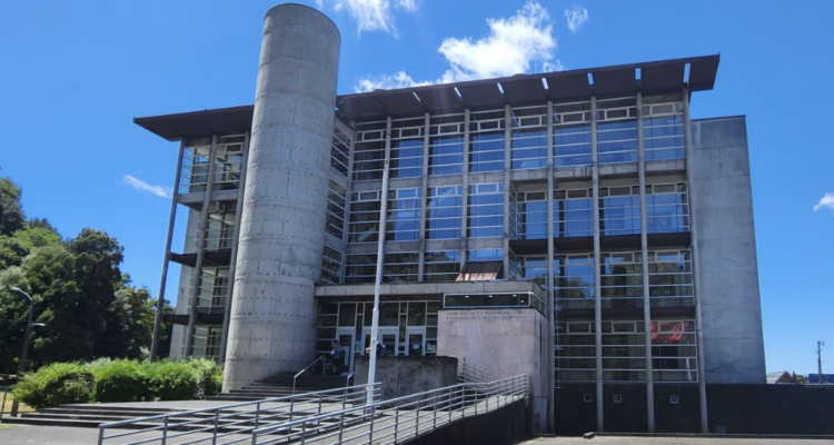 Prisión preventiva para hombre que golpeó y asfixió con una bufanda a su pareja en Melipeuco