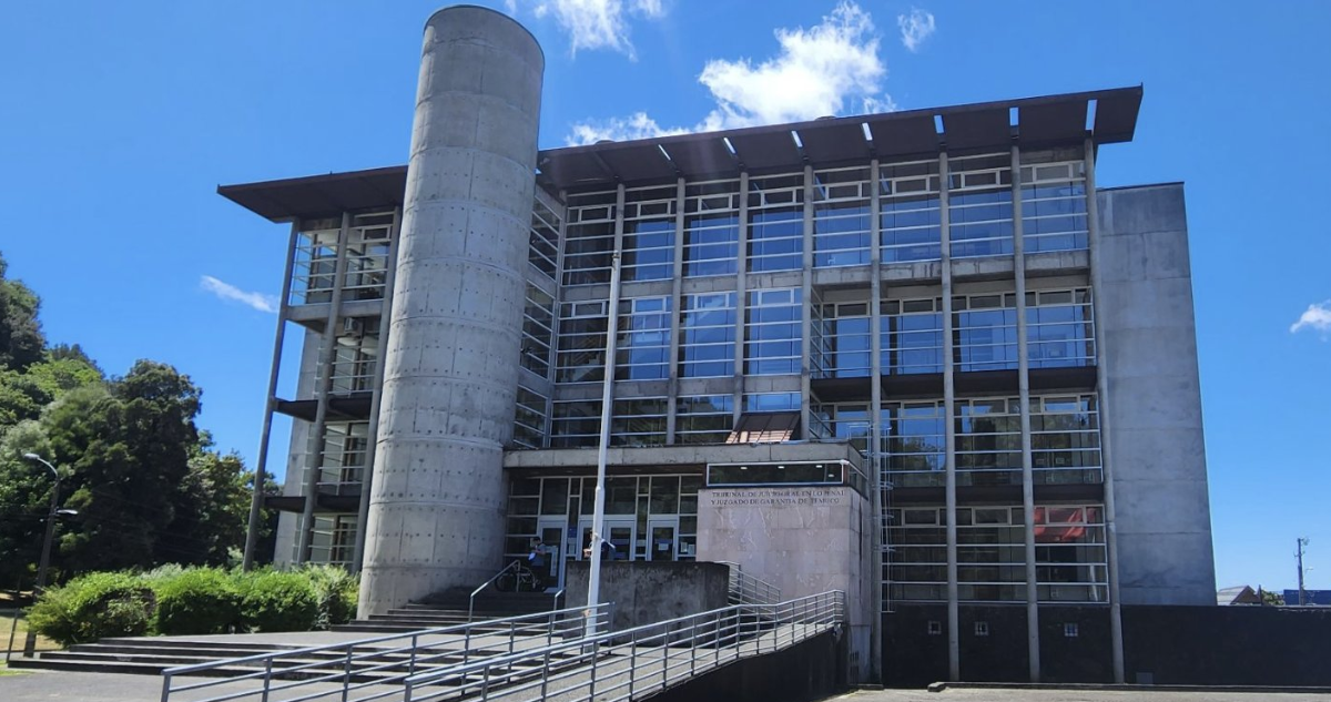 Prisión preventiva para hombre que golpeó y asfixió con una bufanda a su pareja en Melipeuco