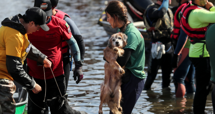 Aumentan a 158 los muertos por las graves inundaciones en el sur de Brasil