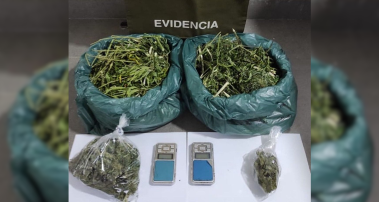 Detienen a hombre que mantenía más de 2.700 dosis de marihuana en Coñaripe: avalúo es de 13 millones