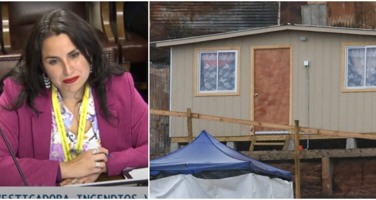 Captura de video – Cámara de Diputados | CONTEXTO – Agencia UNO