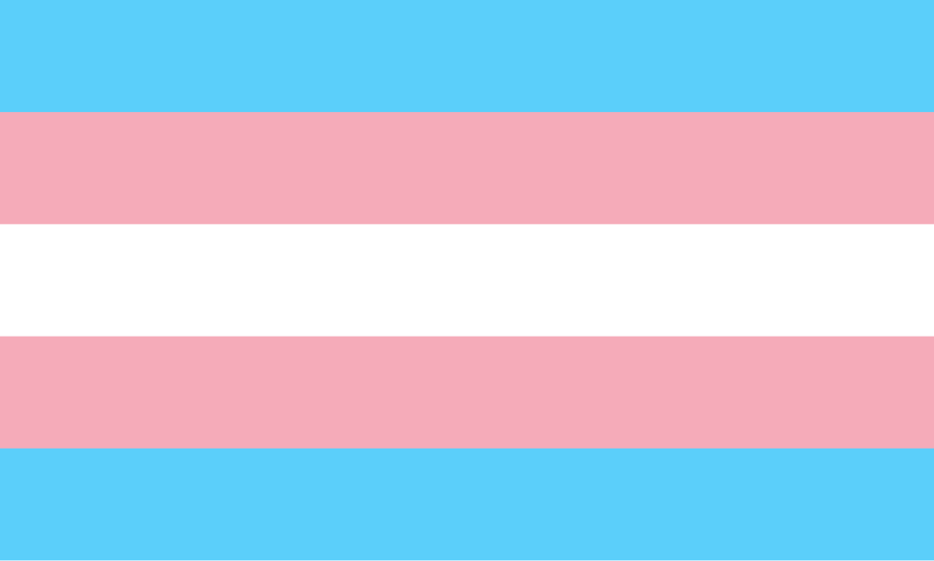 Bandera orgullo trans